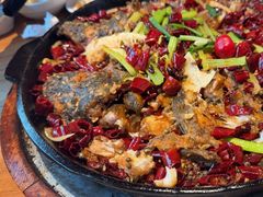 -老板恋上鱼(恒隆广场店)