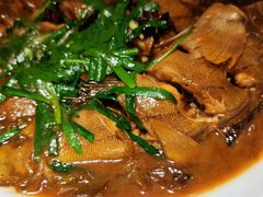 -日丰园海肠水饺·老字号大连海鲜(和平广场店)