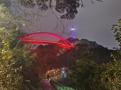 -金鸡山公园