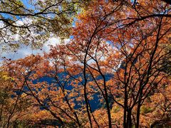 -叠溪松坪沟景区