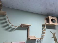 -半岛宠物医院24小时(白果林店)