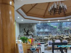 -将军关探险漂流