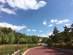 前面是成吉思汗像-成吉思汗公园