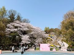-杭州少年儿童公园