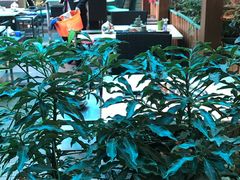 -润泽园椰子鸡(汇一城店)