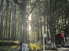-东湖景区