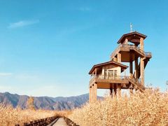 -野鸭湖国家湿地公园