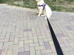 -远洋未来广场(育慧北路店)