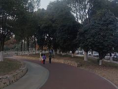 -滆湖低碳生态公园