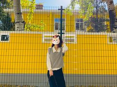 -三里屯东五街银杏大道