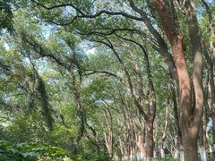 -上海市保健医疗中心