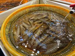 -天津金元宝滨海农产品交易市场(共发大道)