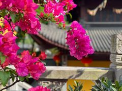 -杭州上天竺法喜讲寺