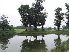 -两河城市森林公园