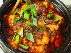 -陈麻婆豆腐(旗舰店)