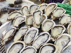 -板桥海鲜广场(文明东店)