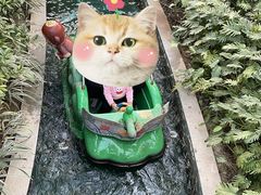 -南宫五洲植物乐园