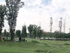 -秀丽东方
