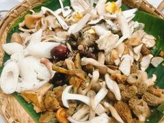 -原林野山菌火锅·炒菌(关上野生菌一条街店)