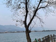 -东梓关景区村庄