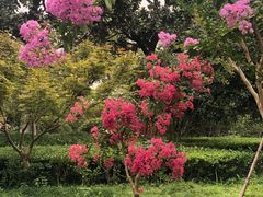 -杭州城北体育公园