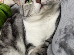-中农大我爱我爱动物医院·核磁CT·猫病·24小时夜诊中心(石佛营店)