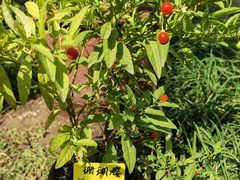 -国家植物园南园