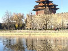 -四季民福烤鸭店(故宫店)