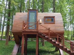 -黄海国家森林公园