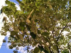 -闽江夜游台江旅游码头