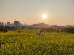 -光明小镇欢乐田园