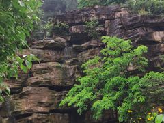 -铁山坪森林公园