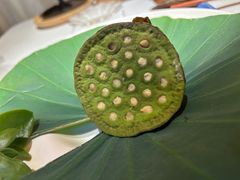 莲房包-叶叶菩提(太原别墅店)