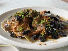 榄角蒸鲫鱼-东山茶寮(新安店)