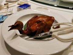 -金汇酒楼(中山东区店)