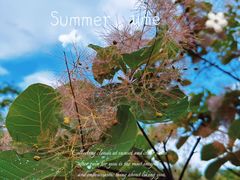 -南京市江宁方山