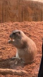 -Zoolung Zoolung动物主题公园(海信广场店)