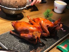 -大鸽饭(岗顶店)