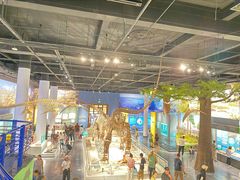 -国家自然博物馆