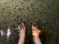 -水底山庄园温泉