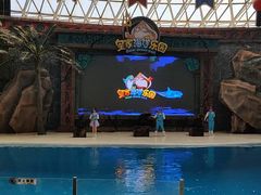 -皇家极地海洋世界-售票处