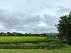 -良渚古城遗址公园