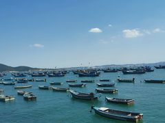 -海源公园
