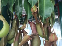 -小王府(什刹海店)