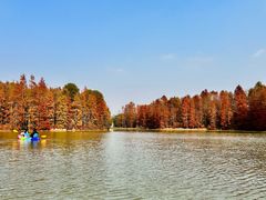 -上海海湾国家森林公园