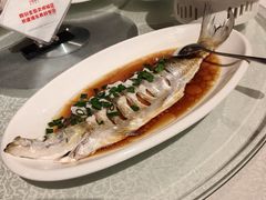 -金美华轩(东方路齐鲁店)