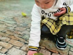 -上海大自然野生昆虫馆(东方明珠·爬宠昆虫探索中心)