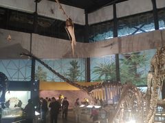 -湖南省地质博物馆