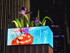 -深圳湾万象城(南山店)