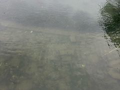 -金鸡湖景区